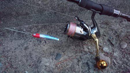 連休シーバス釣行　なんとか1匹